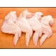 Chicken Wings/手羽先 -1kg